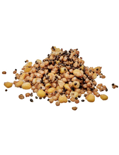  READY SEEDS SPOD MIX 1KG